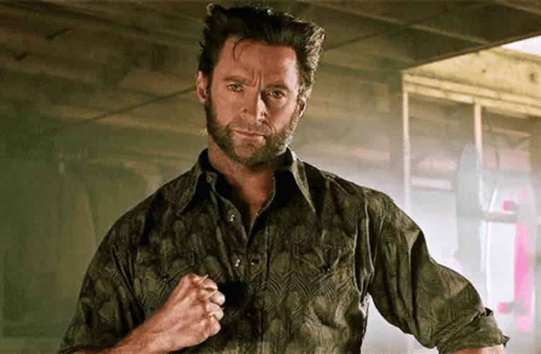 Wolverine Hugh Jackman